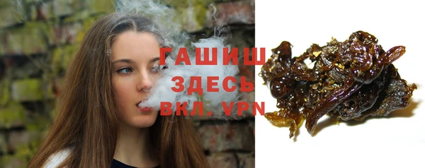 a pvp Каменка