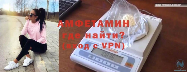 a pvp Каменка