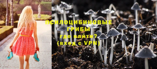 a pvp Каменка