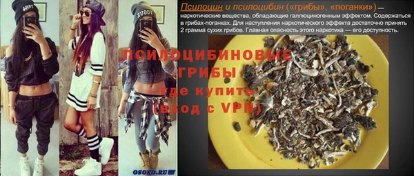 дживик Каменск-Шахтинский