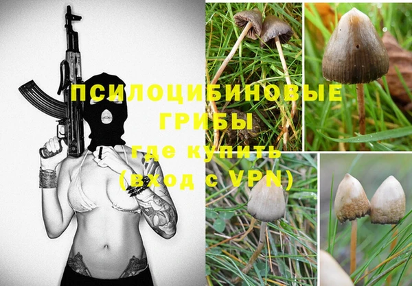 дживик Каменск-Шахтинский