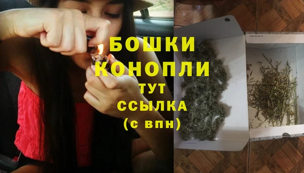 дживик Каменск-Шахтинский