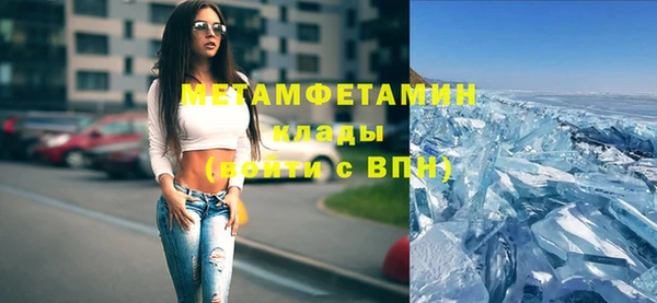 гидра Инта