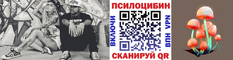 Псилоцибиновые грибы мухоморы  Купить закладки  Зеленогорск 